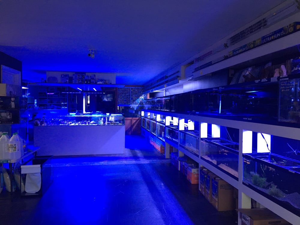 NEW YORK REEF AQUATIC Updated September 2024 26 Photos & 39 Reviews