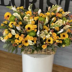 Floristelle
