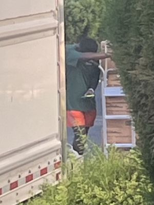 All My Sons Moving & Storage