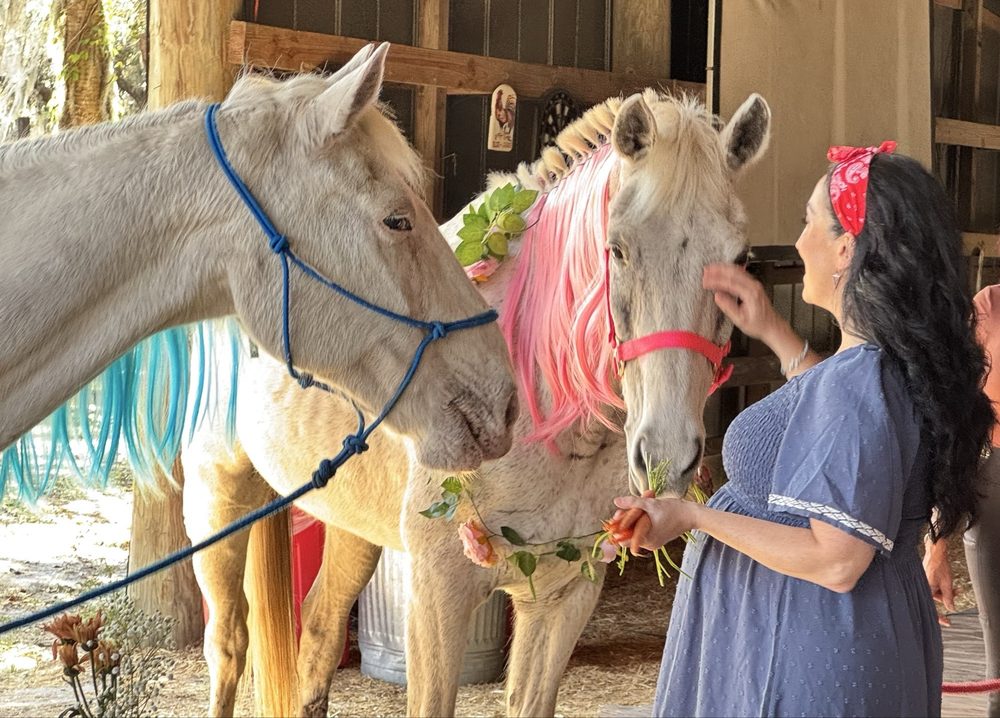Painted Oaks Academy - equestrian in Orlando, FL