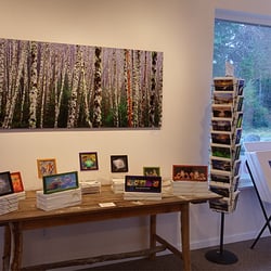 Wave Gallery - From website