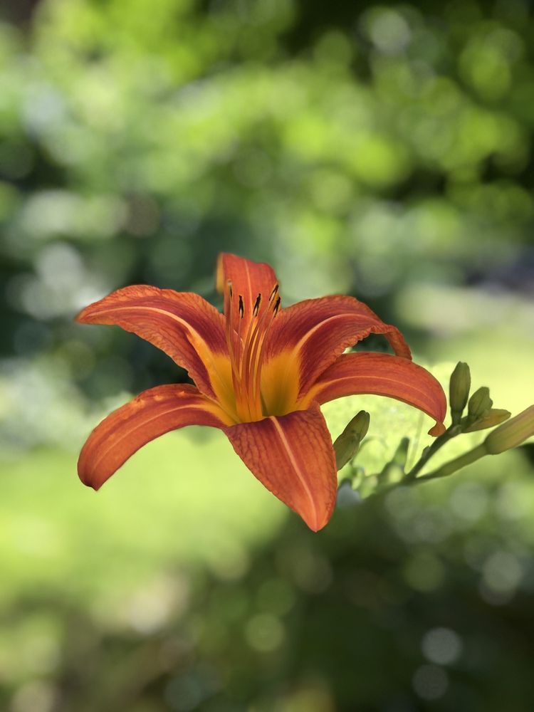 VILLA MARIA RETIREMENT COMMUNITY Updated June 2024 28 Photos