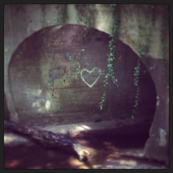 Forest Hill Park - Parks Near Me - Richmond, Virginia Forest Hill Park - Parks Near Me - Richmond, Virginia