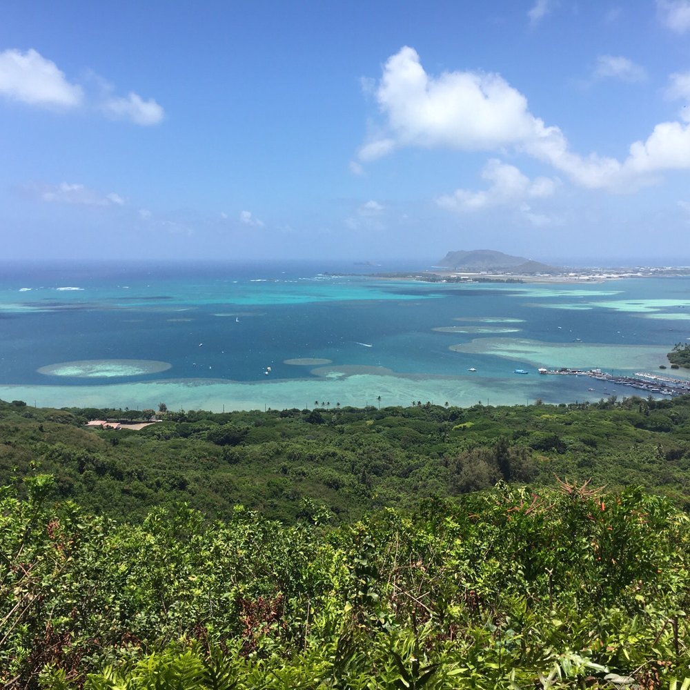 Bunkers Trail - Hiking Near Me - Kaneohe, Hawaii Bunkers Trail - Hiking Near Me - Kaneohe, Hawaii