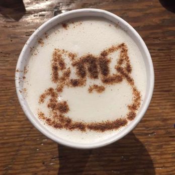 Seattle Meowtropolitan - Chai Tea Latte - Themed Cafes Near Me - Seattle, Washington