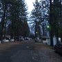 Photo of Shasta Mobile Home Park