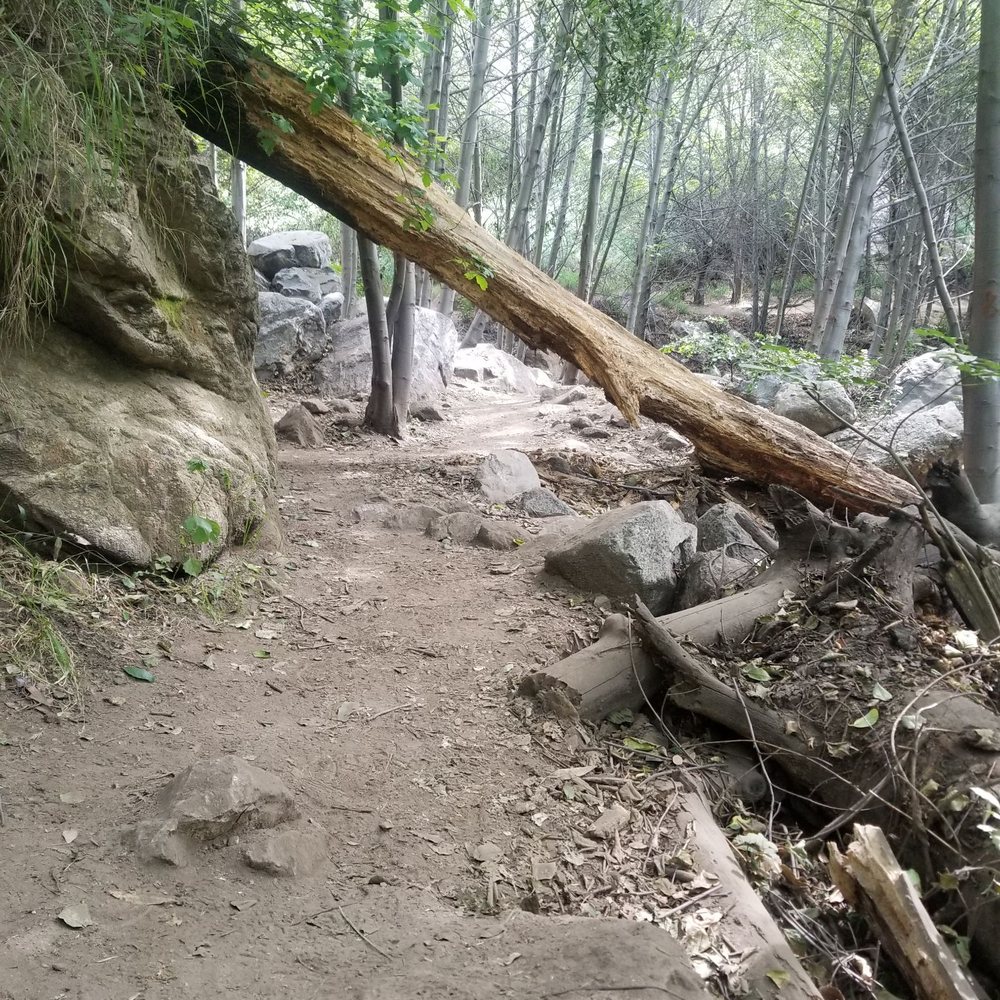 Millard Canyon - Parks Near Me - Altadena, California Millard Canyon - Parks Near Me - Altadena, California