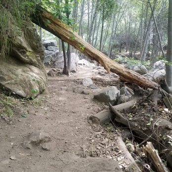Millard Canyon - Parks Near Me - Altadena, California