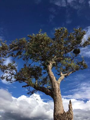 Qingjing Farm by null