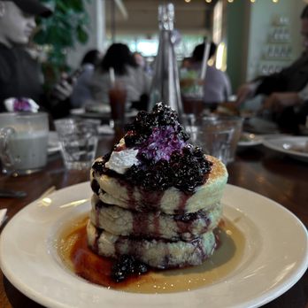Mildred's Temple Kitchen - Breakfast & Brunch Near Me - Toronto, Ontario