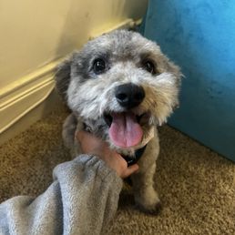 The after, look at his smile.