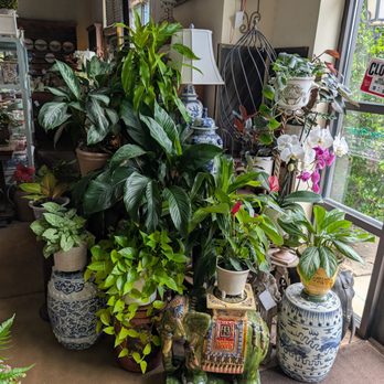 Big Greenhouse - Nurseries & Gardening Near Me - Greensboro, North Carolina Big Greenhouse - Nurseries & Gardening Near Me - Greensboro, North Carolina