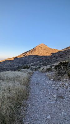 Franklin Mountains State Park by null