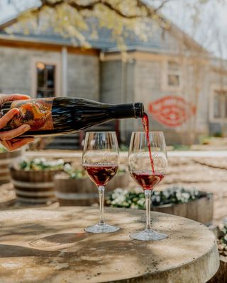 William Chris Vineyards by null William Chris Vineyards by null