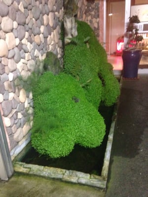 Try It Out Restaurant by null