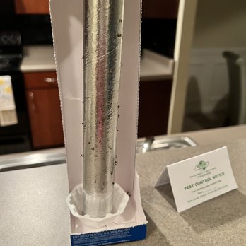 Wesley Providence Apartment Homes - gnats persisted even after Pest Control's treatment - Apartments Near Me - Lithonia, Georgia Wesley Providence Apartment Homes - gnats persisted even after Pest Control's treatment - Apartments Near Me - Lithonia, Georgia