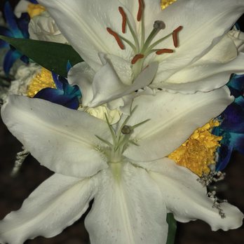 Rose Petals Florist - Florists Near Me - Stateline, Nevada
