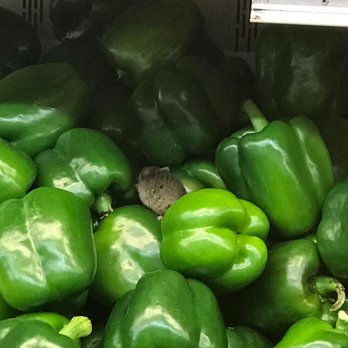 Seabra Foods - Rodent in the green peppers. Disgusting grocery store. - Grocery Near Me - Kearny, New Jersey Seabra Foods - Rodent in the green peppers. Disgusting grocery store. - Grocery Near Me - Kearny, New Jersey