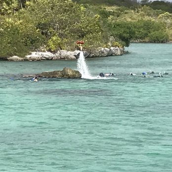 Xel-Há - The famous faucet: you can swim out to this in that beautiful clear water. - Amusement Parks Near Me - Tulum, ROO Xel-Há - The famous faucet: you can swim out to this in that beautiful clear water. - Amusement Parks Near Me - Tulum, ROO