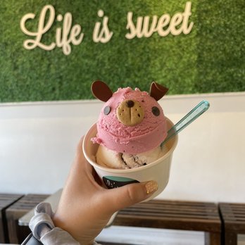 Eli's Ark - Gelato Near Me - Chicago, Illinois