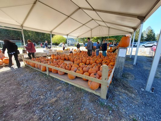 Indian Ladder Farms by null