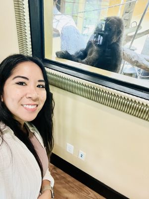 Houston Zoo by null