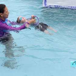 Piccoli Delfini Swimmers