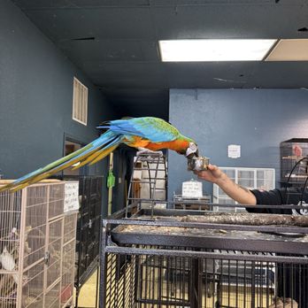 Zookeeper - Pet Stores Near Me - Austin, Texas Zookeeper - Pet Stores Near Me - Austin, Texas