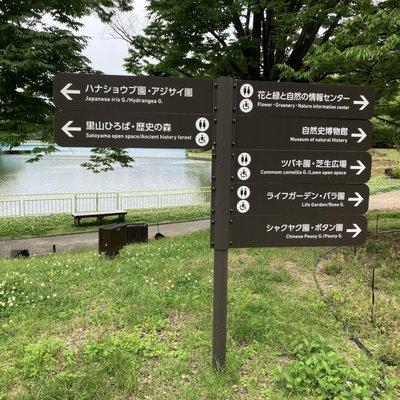 teamLab Botanical Garden Osaka by null