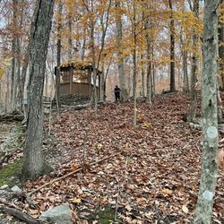 Water Forest Retreat - Octagon cabin