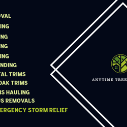 Anytime Tree Service