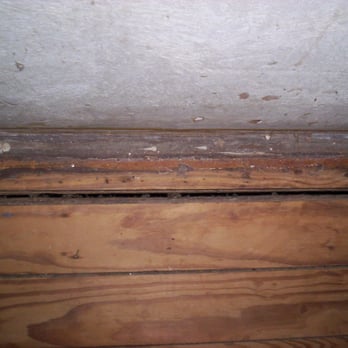 Texas Pro Tech Foundation - floor pull - General Contractors Near Me - Mesquite, Texas