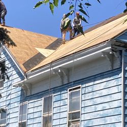 Flip'N Out Construction - New plywood on roof.
