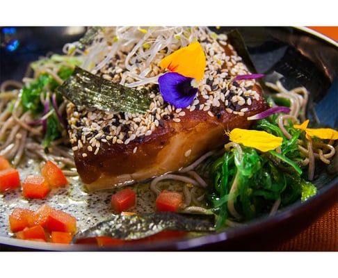 Zone Healthy Organic Meal Delivery by null