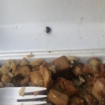 The Hungry Ninja - NEVER eating here again! - Fast Food Near Me - Valencia, California The Hungry Ninja - NEVER eating here again! - Fast Food Near Me - Valencia, California