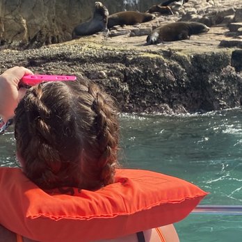 Esperanza's Tours - Boat Tours Near Me - Cabo San Lucas, BCS