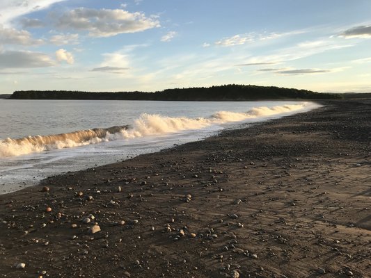 Irving Nature Park by null