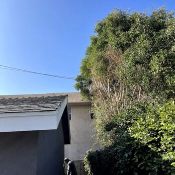 Planet Tree Service - Tree Services Near Me - Hawaiian Gardens , California Planet Tree Service - Tree Services Near Me - Hawaiian Gardens , California