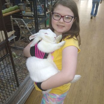 I Love My Pets - Pet Groomers Near Me - Rockwood, Michigan I Love My Pets - Pet Groomers Near Me - Rockwood, Michigan