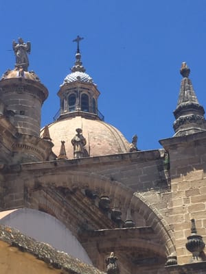 Catedral de Jerez de la Frontera / Colegiata de Nuestro Señor San Salvador by null