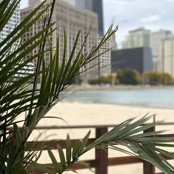 Caffè Oliva - a view of a beach with a city in the background - Mediterranean Near Me - Chicago, Illinois Caffè Oliva - a view of a beach with a city in the background - Mediterranean Near Me - Chicago, Illinois