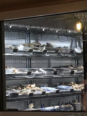 NICO | Oysters + Seafood by null