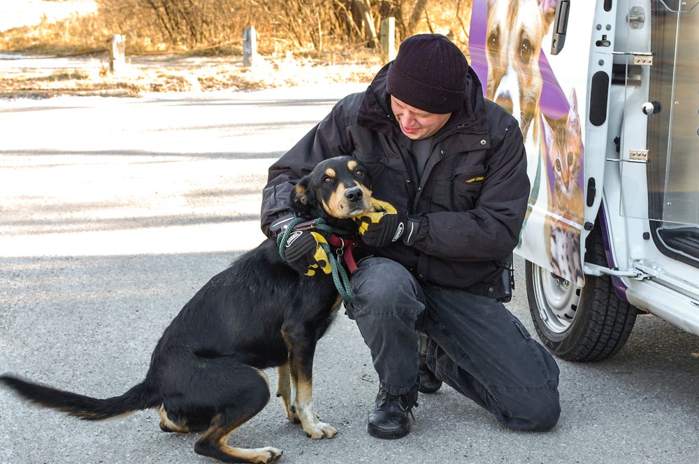 ARL ANIMAL SERVICES Updated October 2024 1615 SE 14th St, Des