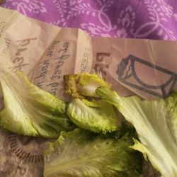 Blake's Lotaburger - Again, rotting romaine.