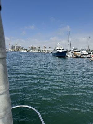 Marina Del Rey Marina by null