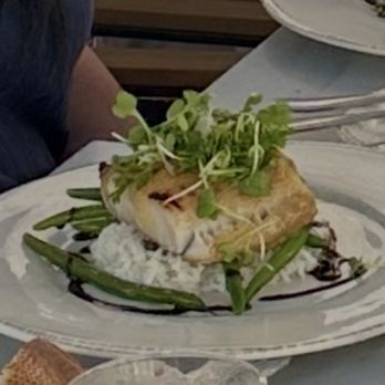 Bluewater Grill Seafood Restaurant Newport Beach - Black miso cod - Seafood Near Me - Newport Beach, California