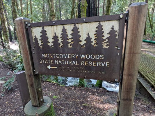 Montgomery Woods State Natural Reserve by null