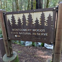 Montgomery Woods State Reserve