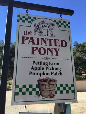 Painted Pony by null