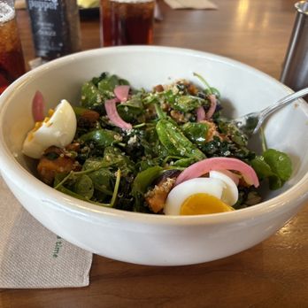 Leven Bakery & Cafe - Breakfast Salad (POS) - Bakeries Near Me - Houston, Texas Leven Bakery & Cafe - Breakfast Salad (POS) - Bakeries Near Me - Houston, Texas
